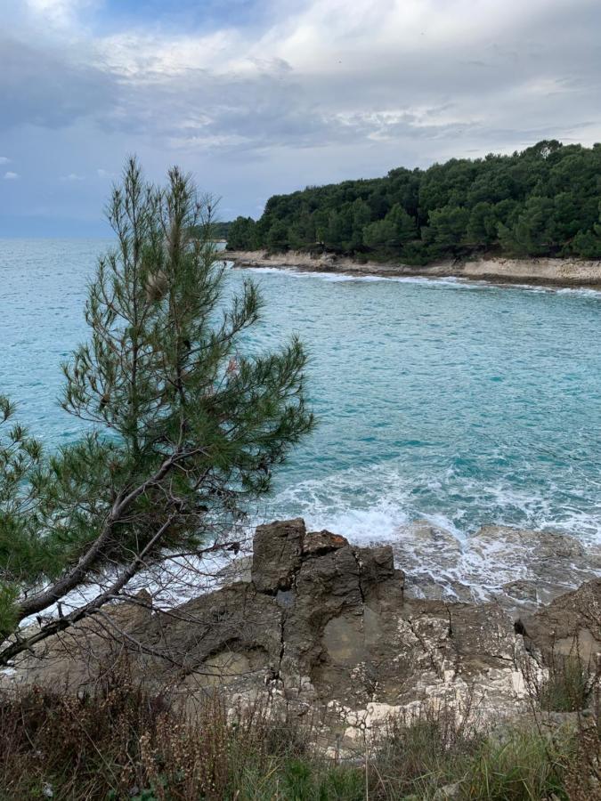 Apartment Creo Loborika Marčana Dış mekan fotoğraf